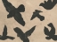 Picture of ANTIQUE FLOCK II