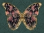 Picture of FLORAL BUTTERFLY WINGS I