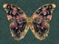 Picture of FLORAL BUTTERFLY WINGS I