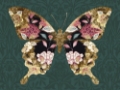 Picture of FLORAL BUTTERFLY WINGS II