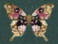 Picture of FLORAL BUTTERFLY WINGS II