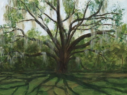 Picture of LIVE OAK I