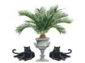 Picture of SAGO PALM AND PANTHER II