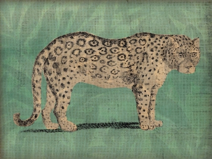 Picture of VINTAGE JUNGLE CAT I