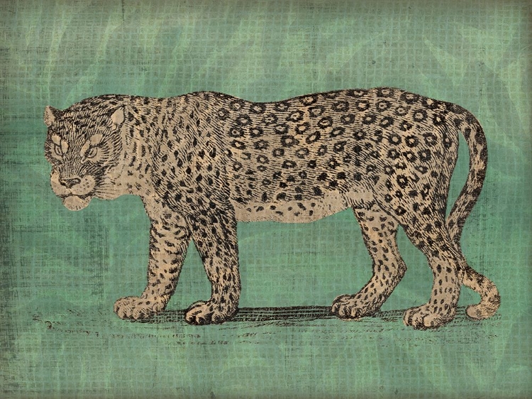 Picture of VINTAGE JUNGLE CAT II