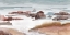 Picture of COASTAL CALM SHORES II