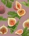 Picture of HARVEST FIGS I