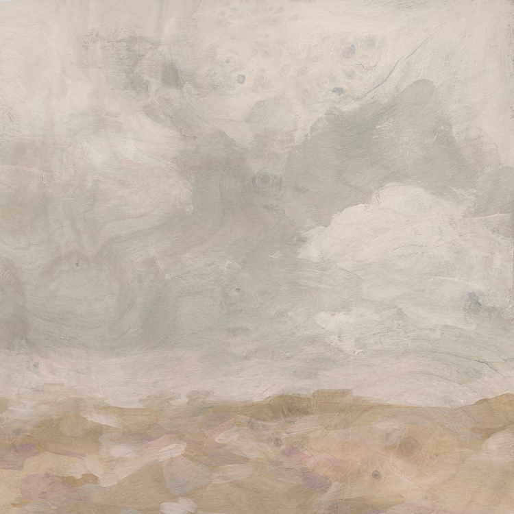 Picture of FADED VISTA II