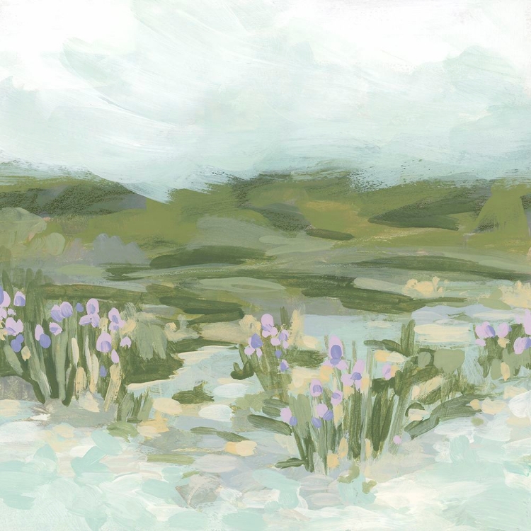 Picture of IRIS MEADOW I