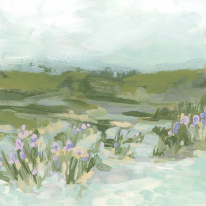 Picture of IRIS MEADOW II