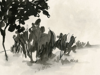 Picture of SHADOW GROVE I