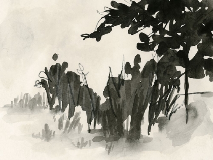 Picture of SHADOW GROVE II