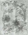 Picture of PASSION FLOWERS I