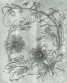 Picture of PASSION FLOWERS I
