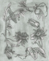 Picture of PASSION FLOWERS II
