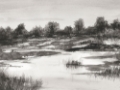 Picture of INDIA INK LANDSCAPE II