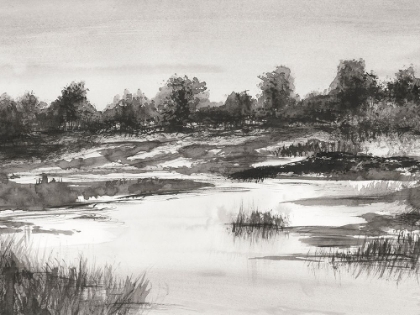 Picture of INDIA INK LANDSCAPE II