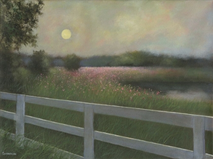 Picture of EVENING VIEW