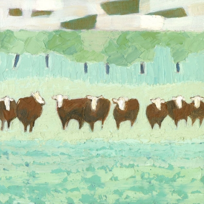 Picture of PICKAWAY COWS