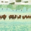 Picture of PICKAWAY COWS