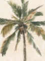 Picture of ANTIQUE WATERCOLOR PALM STUDY I