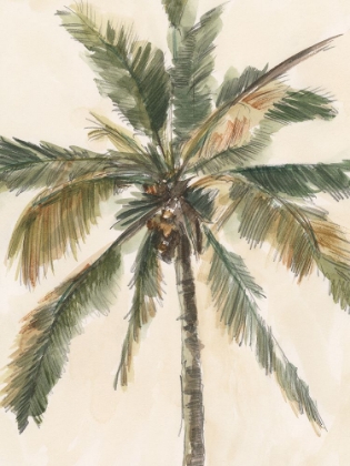 Picture of ANTIQUE WATERCOLOR PALM STUDY I