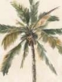 Picture of ANTIQUE WATERCOLOR PALM STUDY I