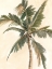 Picture of ANTIQUE WATERCOLOR PALM STUDY II