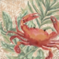 Picture of DAMASK CRAB I