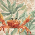 Picture of DAMASK CRAB II