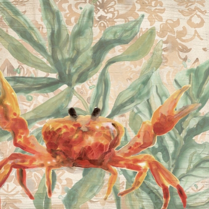 Picture of DAMASK CRAB II