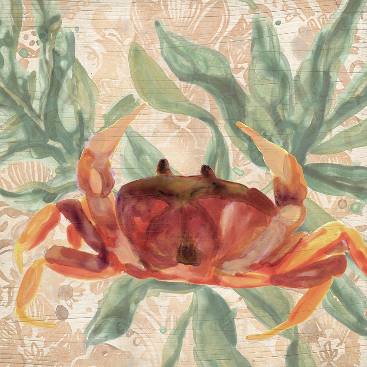 Picture of DAMASK CRAB III