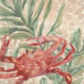 Picture of DAMASK CRAB IV