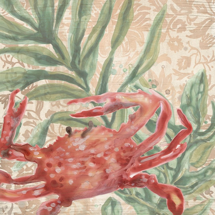 Picture of DAMASK CRAB IV