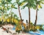 Picture of HOT SUMMER II
