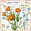 Picture of CALENDULA AND FLAX