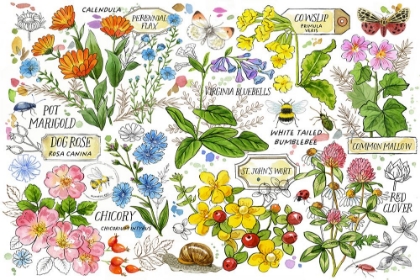 Picture of HEALING GARDEN HORIZONTAL