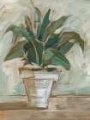 Picture of IMPRESSIONIST HOUSEPLANT I