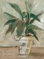 Picture of IMPRESSIONIST HOUSEPLANT II