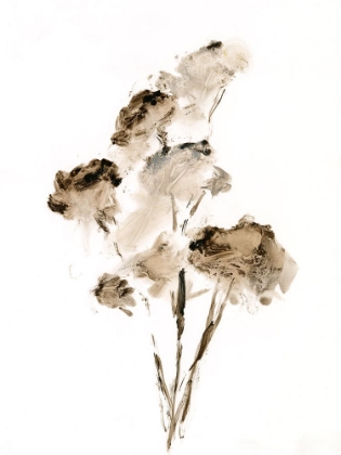 Picture of POWDERED FLORAL II