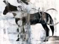 Picture of BANDW HORSE ABSTRACT I