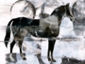 Picture of BANDW HORSE ABSTRACT II