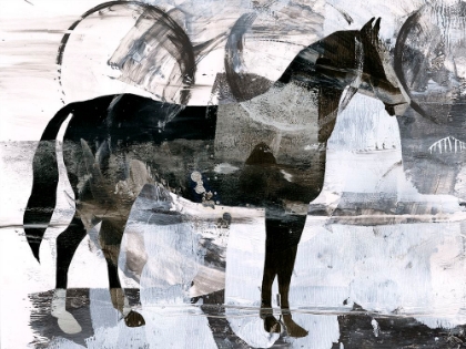 Picture of BANDW HORSE ABSTRACT II