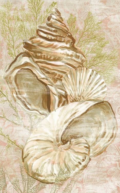 Picture of ANTIQUE PEACH SHELL COLLAGE I