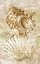 Picture of ANTIQUE PEACH SHELL COLLAGE II