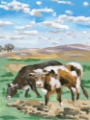 Picture of TWO COWS I