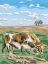 Picture of TWO COWS II