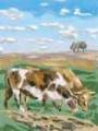 Picture of TWO COWS II