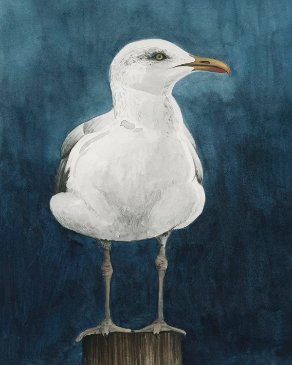 Picture of NIGHT GULL I
