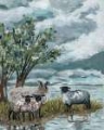 Picture of SHEEP BY THE RIVER II